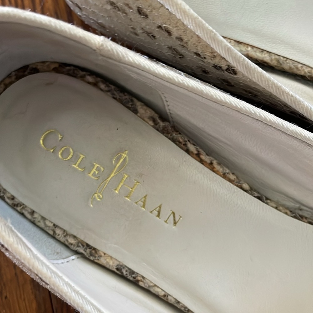 Shoes - Picture 6 of 7
